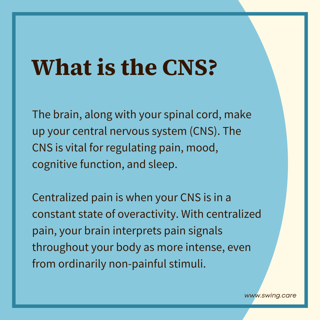 What is the CNS?